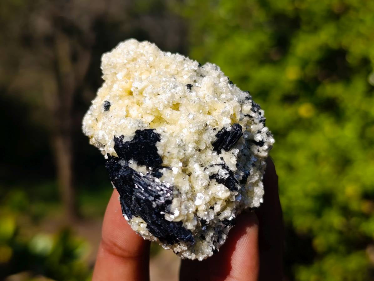 Natural Schorl Black Tourmaline Specimens x 12 From Namibia - Toprock Gemstones and Minerals 