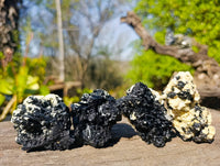 Natural Schorl Black Tourmaline Specimens x 12 From Namibia
