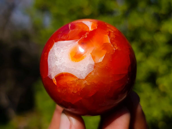 Polished Carnelian Agate Spheres x 6 From Madagascar