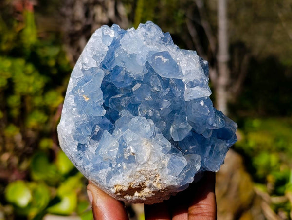 Natural Celestite Specimens x 2 From Sakoany, Madagascar