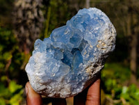 Natural Celestite Specimens x 2 From Sakoany, Madagascar