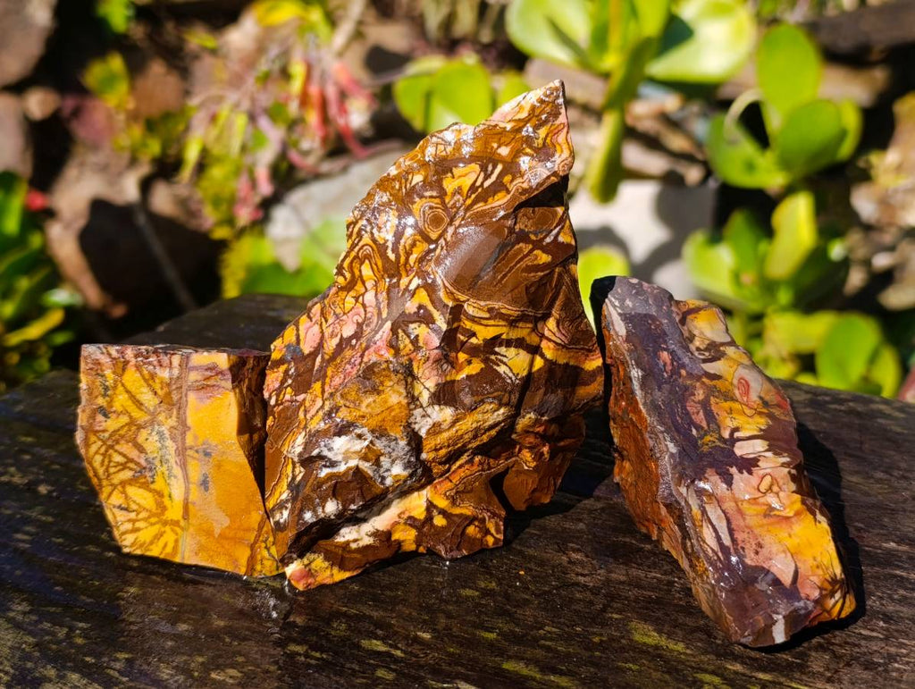 Natural Selected Nguni Jasper Cobbed Specimens x 12 From Prieska, South Africa - Toprock Gemstones and Minerals 