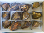 Natural Selected Nguni Jasper Cobbed Specimens x 12 From Prieska, South Africa - Toprock Gemstones and Minerals 