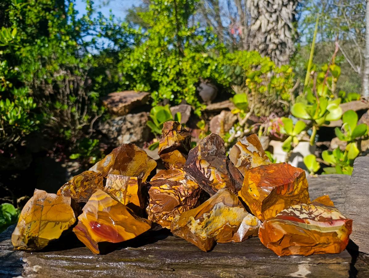 Natural Selected Nguni Jasper Cobbed Specimens x 12 From Prieska, South Africa - Toprock Gemstones and Minerals 