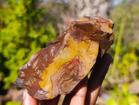 Natural Selected Nguni Jasper Cobbed Specimens x 12 From Prieska, South Africa