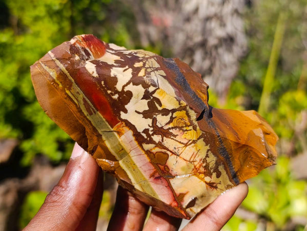 Natural Selected Nguni Jasper Cobbed Specimens x 12 From Prieska, South Africa