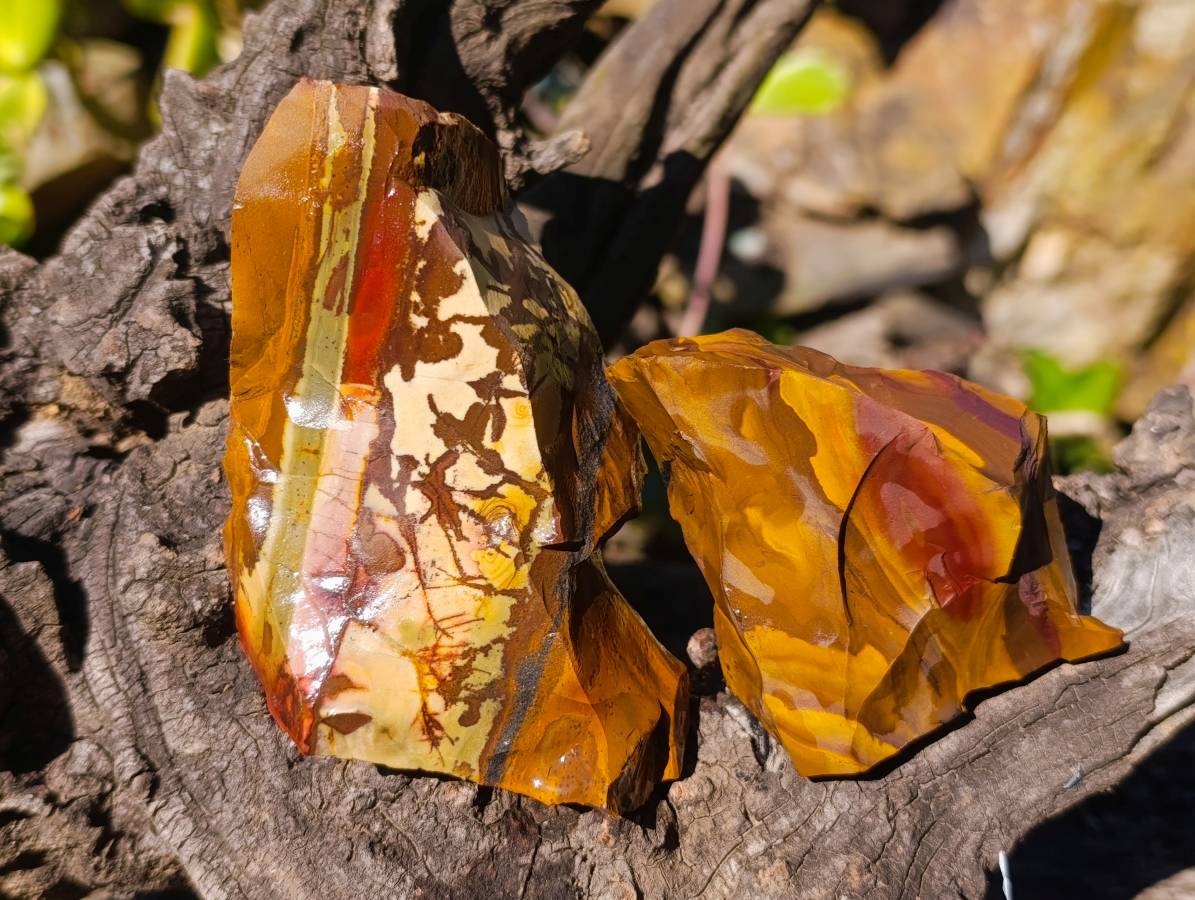 Natural Selected Nguni Jasper Cobbed Specimens x 12 From Prieska, South Africa - Toprock Gemstones and Minerals 