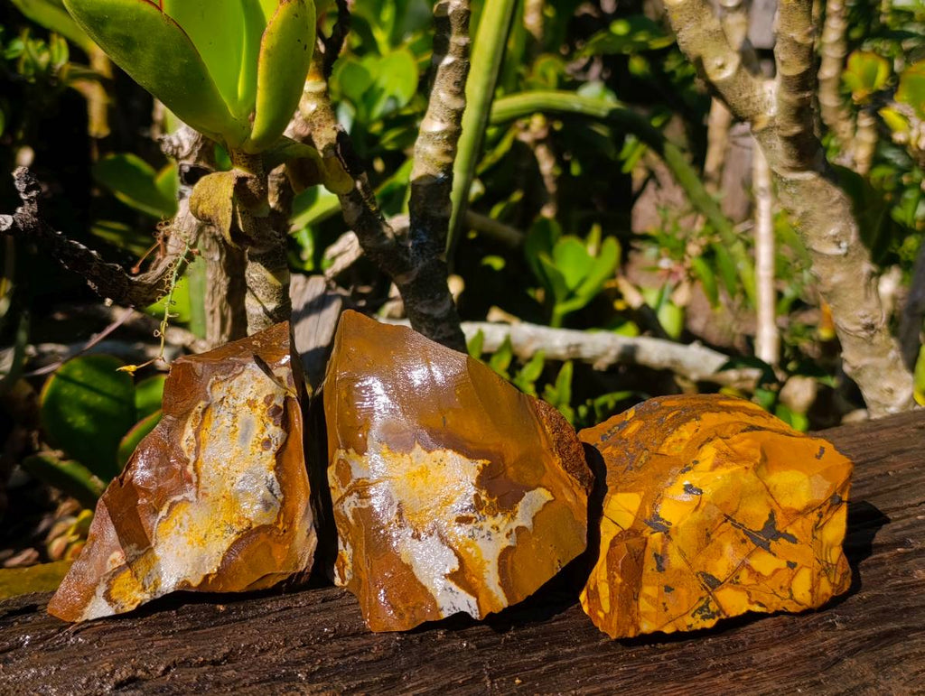 Natural Selected Nguni Jasper Cobbed Specimens x 12 From Prieska, South Africa - Toprock Gemstones and Minerals 