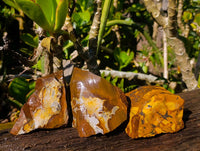 Natural Selected Nguni Jasper Cobbed Specimens x 12 From Prieska, South Africa