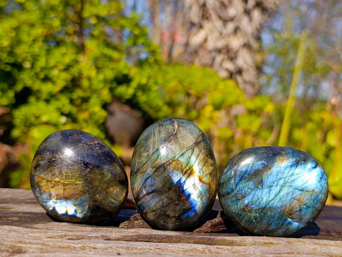 Polished Labradorite Palm Stones x 12 From Tulear, Madagascar - Toprock Gemstones and Minerals 