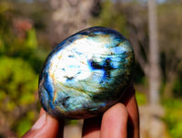 Polished Labradorite Palm Stones x 12 From Tulear, Madagascar - Toprock Gemstones and Minerals 