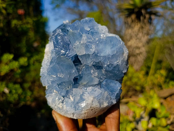 Natural Celestite Specimens x 2 From Sakoany, Madagascar