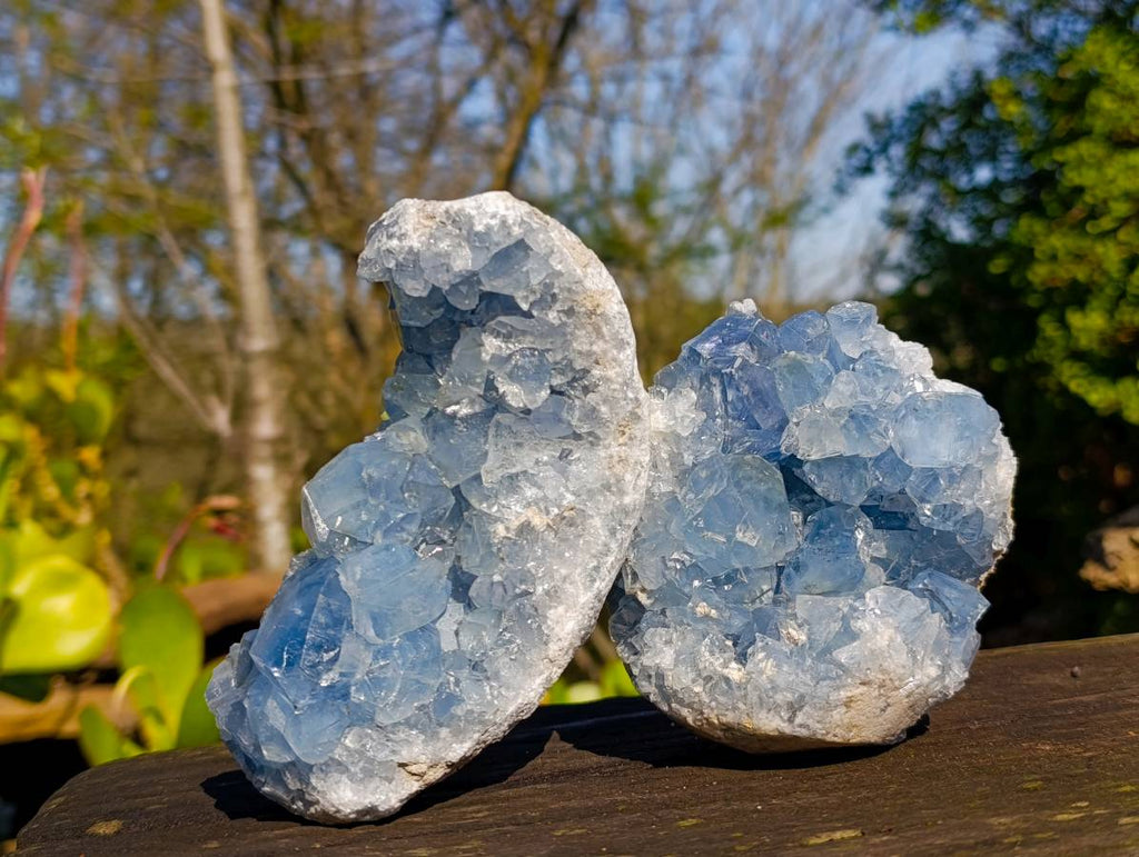 Natural Celestite Specimens x 2 From Sakoany, Madagascar - Toprock Gemstones and Minerals 