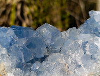 Natural Celestite Specimens x 2 From Sakoany, Madagascar