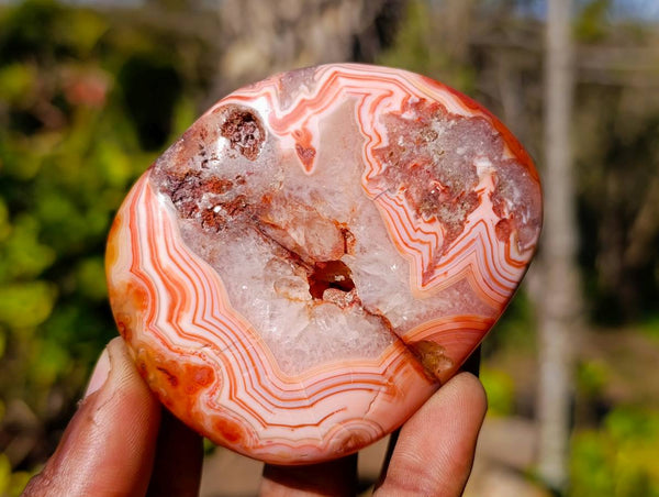 Polished Carnelian Agate Palm Stones x 12 From Madagascar