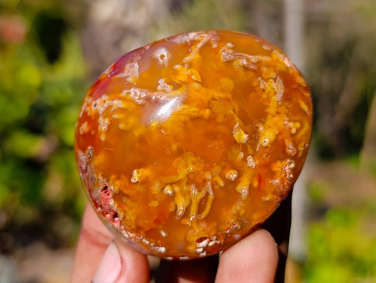 Polished Carnelian Agate Palm Stones x 12 From Madagascar - Toprock Gemstones and Minerals 