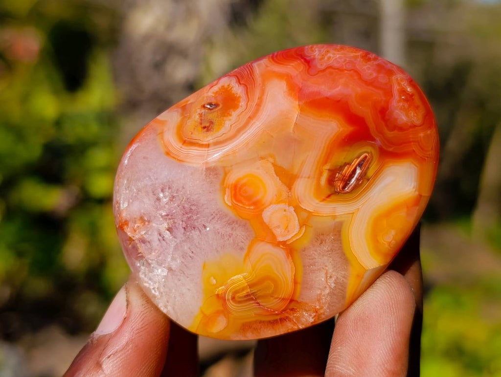 Polished Carnelian Agate Palm Stones x 12 From Madagascar - Toprock Gemstones and Minerals 