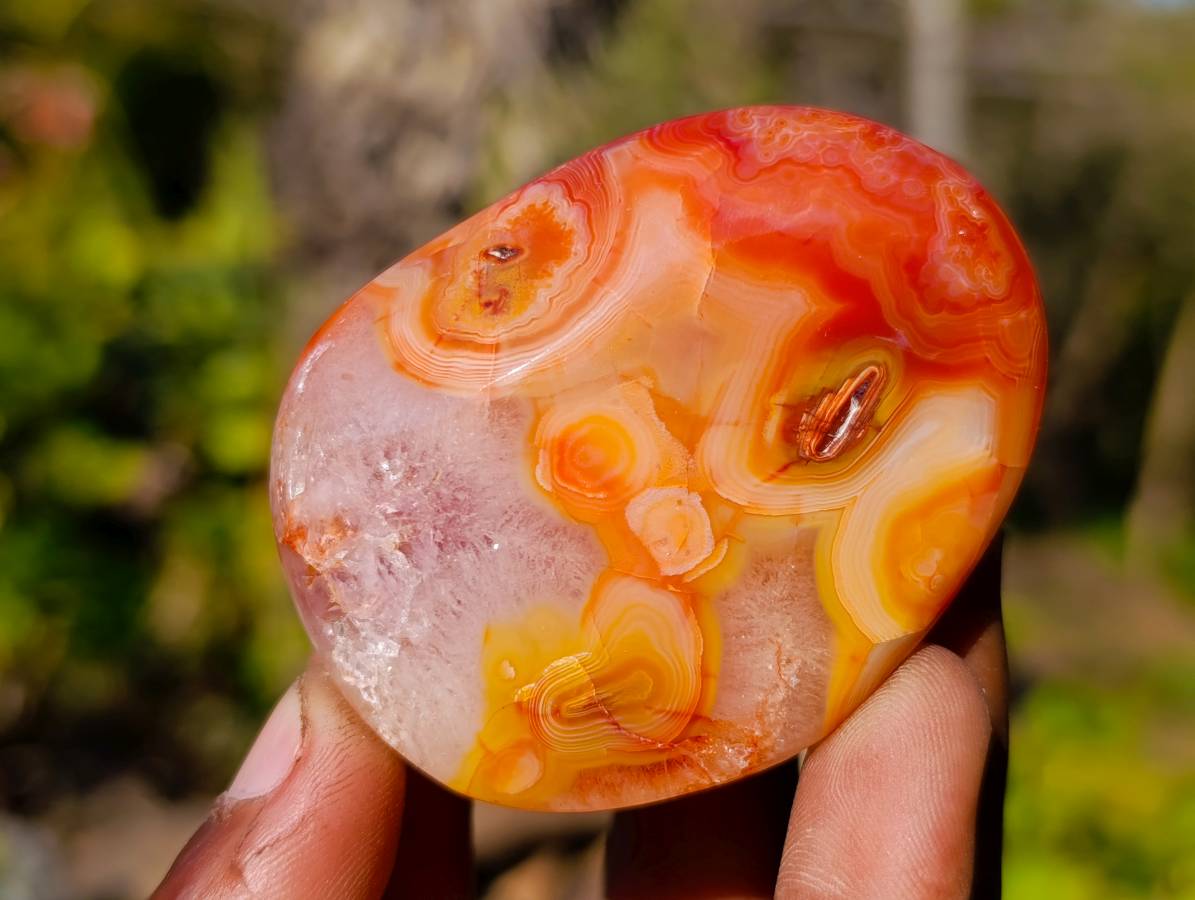 Polished Carnelian Agate Palm Stones x 12 From Madagascar - Toprock Gemstones and Minerals 