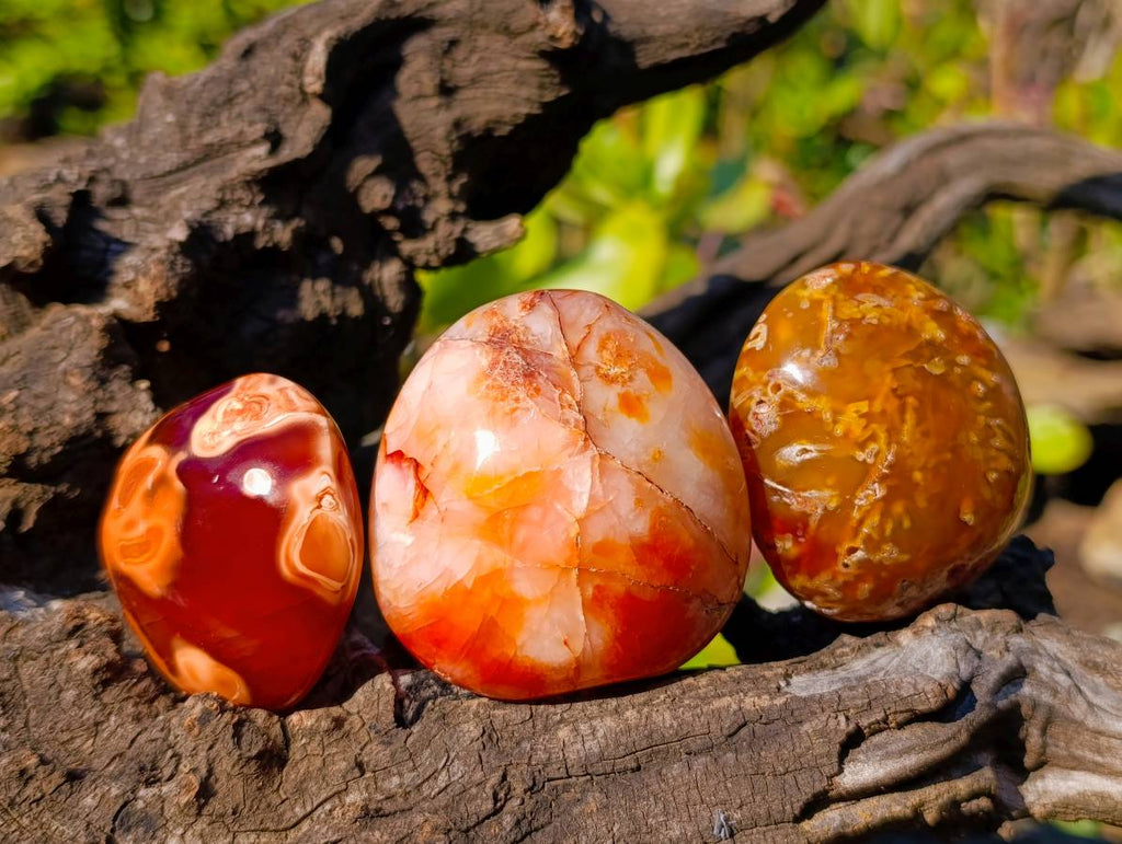 Polished Carnelian Agate Palm Stones x 12 From Madagascar - Toprock Gemstones and Minerals 