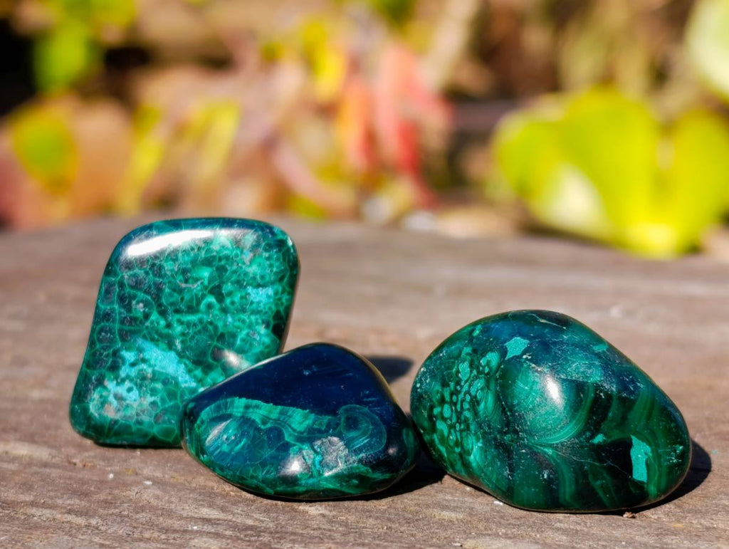 Polished Flower Banded Malachite Free Forms x 70 From Congo - Toprock Gemstones and Minerals 