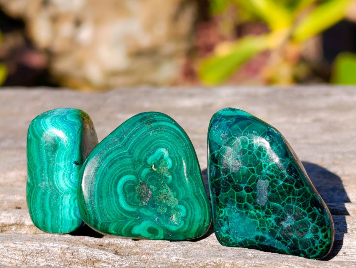 Polished Flower Banded Malachite Free Forms x 70 From Congo - Toprock Gemstones and Minerals 