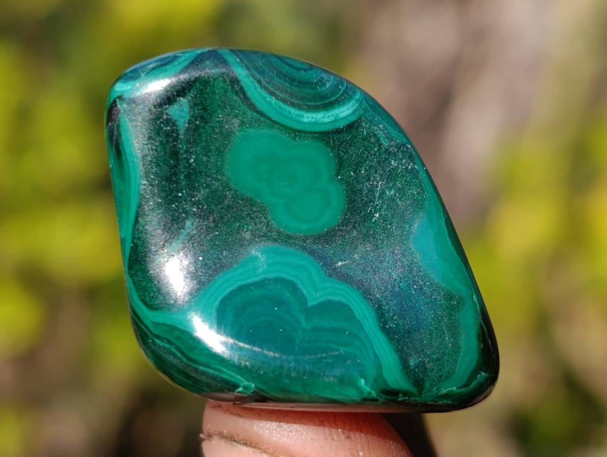 Polished Flower Banded Malachite Free Forms x 70 From Congo - Toprock Gemstones and Minerals 