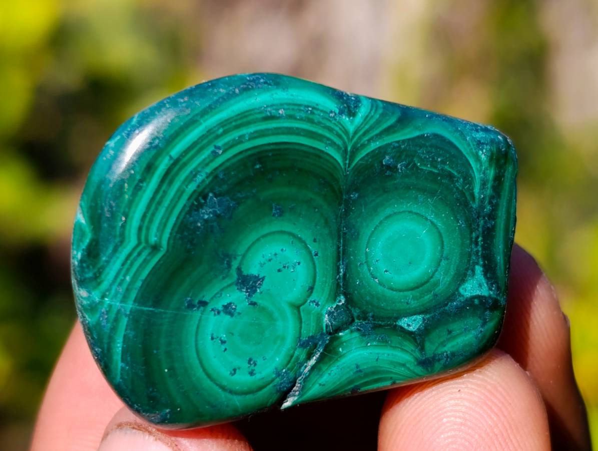 Polished Flower Banded Malachite Free Forms x 70 From Congo - Toprock Gemstones and Minerals 