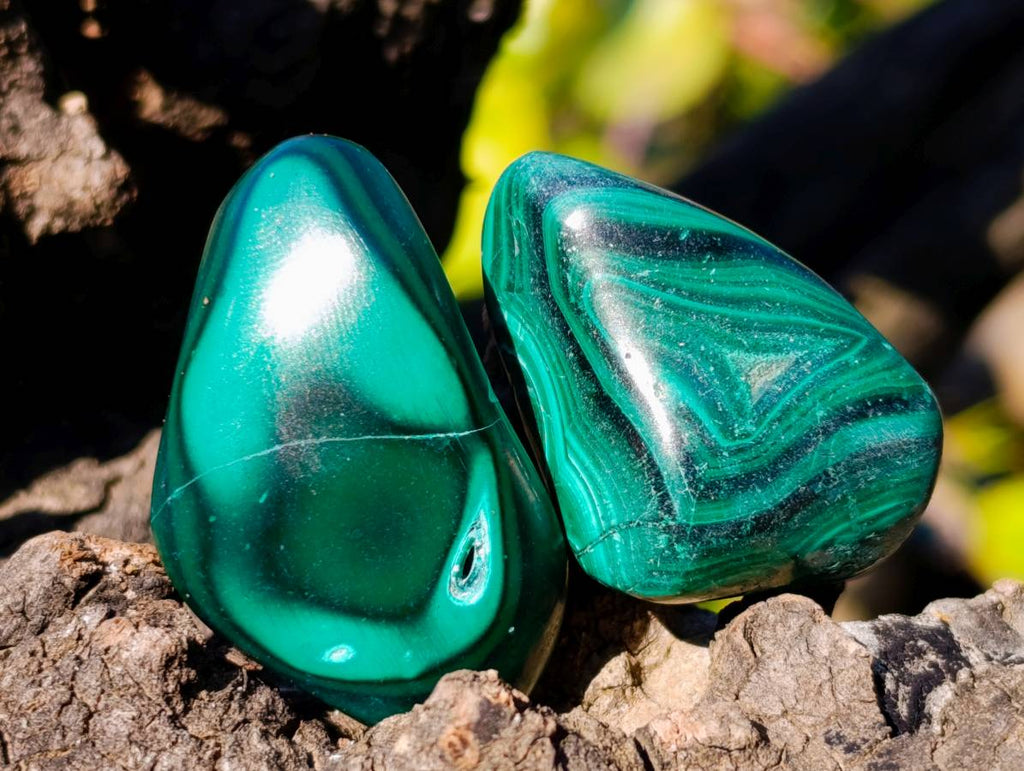 Polished Flower Banded Malachite Free Forms x 70 From Congo - Toprock Gemstones and Minerals 