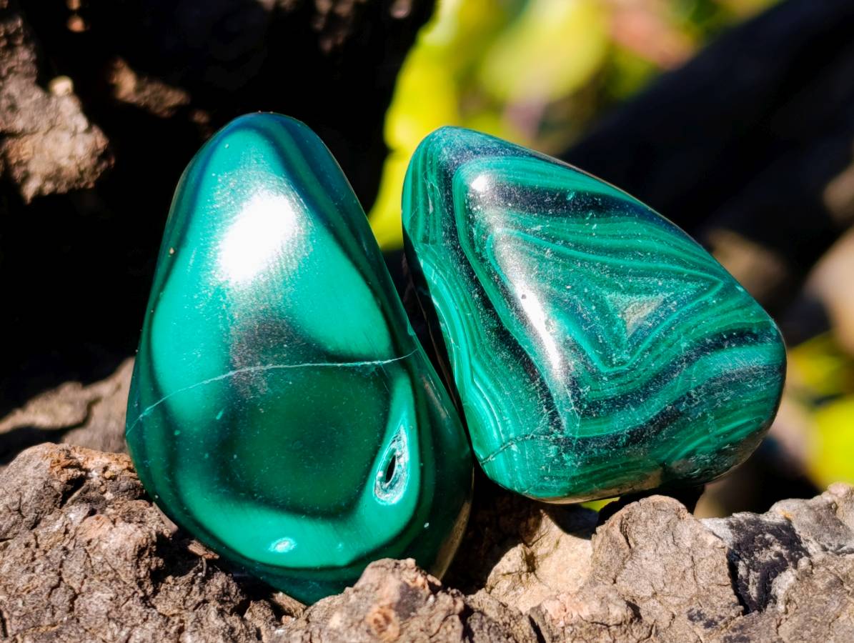 Polished Flower Banded Malachite Free Forms x 70 From Congo - Toprock Gemstones and Minerals 