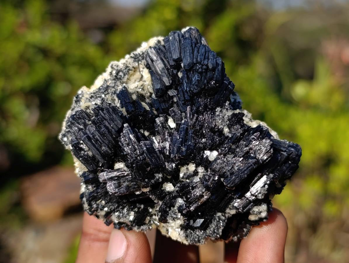 Natural Schorl Black Tourmaline Specimens x 6 From Namibia - Toprock Gemstones and Minerals 