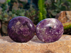 Polished Lepidolite with Pink Rubellite Palm Stones x 12 From Ambatondrazaka, Madagascar - Toprock Gemstones and Minerals 