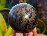 Polished Pharaoh Stone Spheres x 2 From Zimbabwe