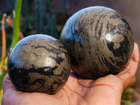Polished Pharaoh Stone Spheres x 2 From Zimbabwe