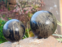 Polished Pharaoh Stone Spheres x 2 From Zimbabwe