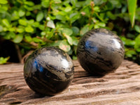 Polished Pharaoh Stone Spheres x 2 From Zimbabwe