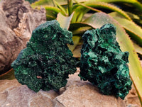 Natural Silky Crystalline Malachite Specimens x 2 From Congo