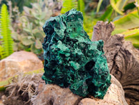 Natural Silky Crystalline Malachite Specimens x 2 From Congo