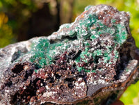 Natural Ball Malachite On Dolomite Matrix Specimens x 3 From Kambove, Congo