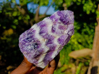 Natural Chevron Amethyst Specimens x 15 From Zambia - Toprock Gemstones and Minerals 