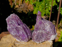 Natural Chevron Amethyst Specimens x 15 From Zambia - Toprock Gemstones and Minerals 