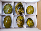 Polished Green Opal Standing Free Forms x 6 From Madagascar - Toprock Gemstones and Minerals 
