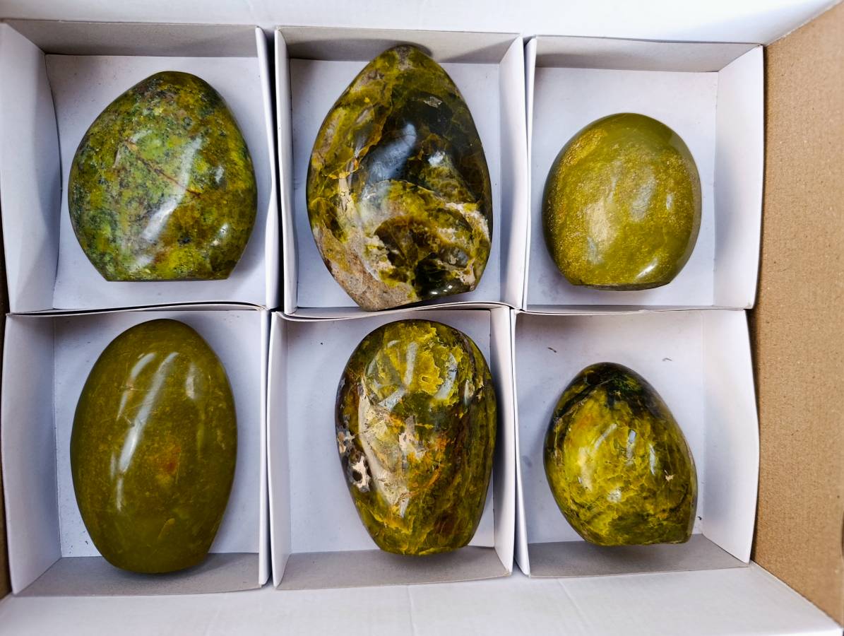 Polished Green Opal Standing Free Forms x 6 From Madagascar - Toprock Gemstones and Minerals 