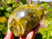 Polished Green Opal Standing Free Forms x 6 From Madagascar - Toprock Gemstones and Minerals 