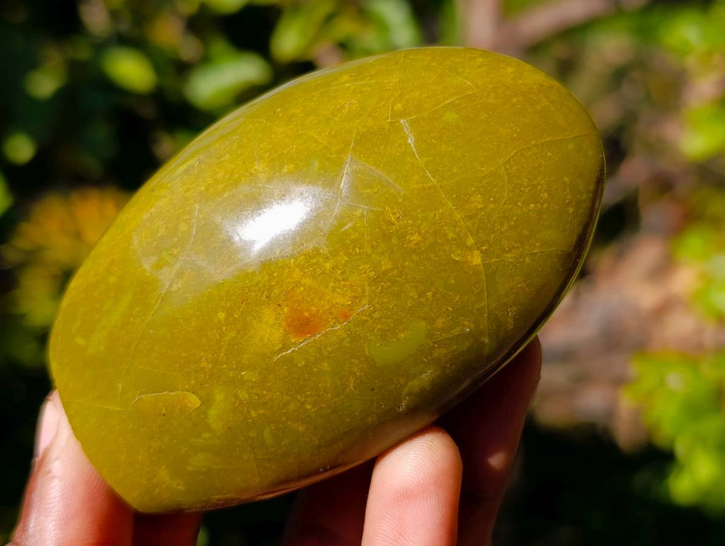 Polished Green Opal Standing Free Forms x 6 From Madagascar - Toprock Gemstones and Minerals 