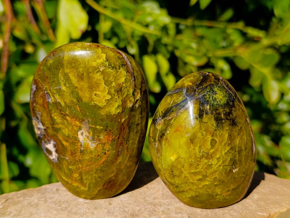 Polished Green Opal Standing Free Forms x 6 From Madagascar - Toprock Gemstones and Minerals 