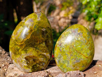 Polished Green Opal Standing Free Forms x 6 From Madagascar - Toprock Gemstones and Minerals 