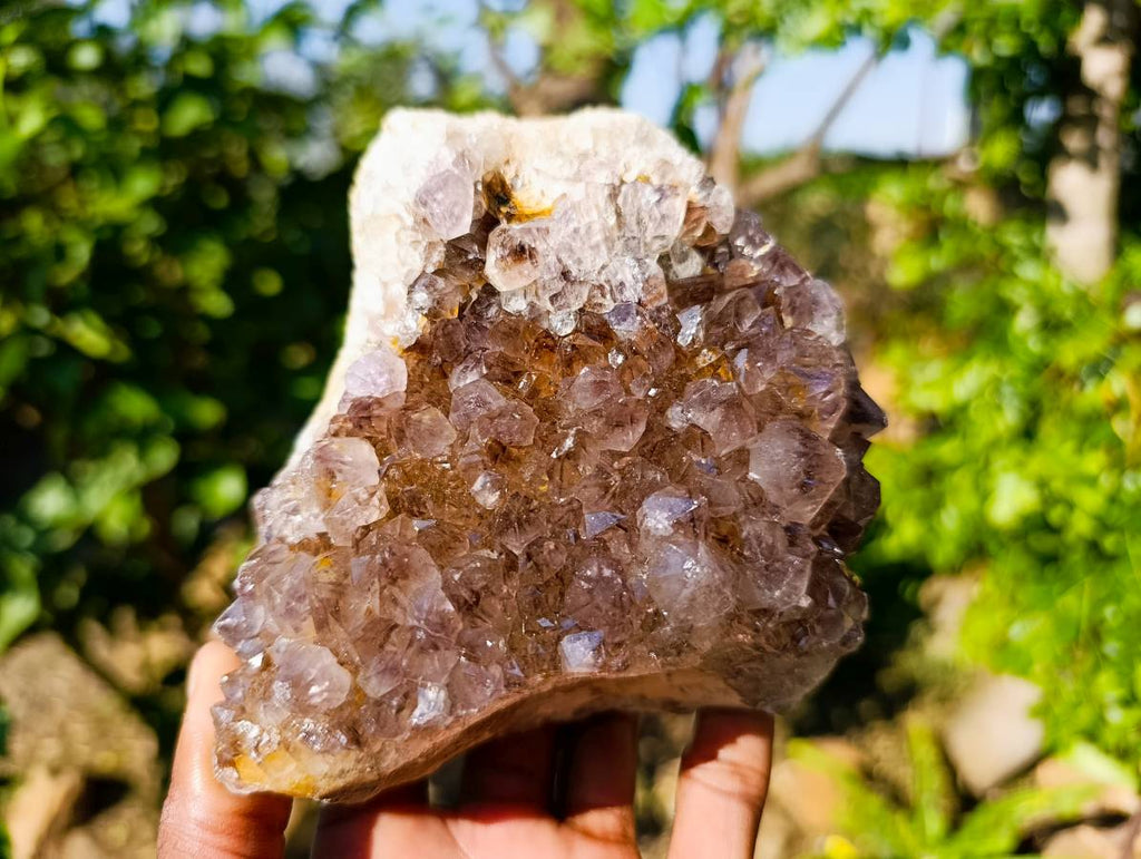Natural Ametrine Spirit Quartz Clusters x 2 From South Africa - Toprock Gemstones and Minerals 