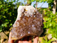 Natural Ametrine Spirit Quartz Clusters x 2 From South Africa