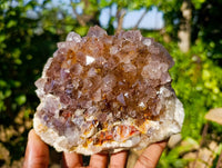 Natural Ametrine Spirit Quartz Clusters x 2 From South Africa