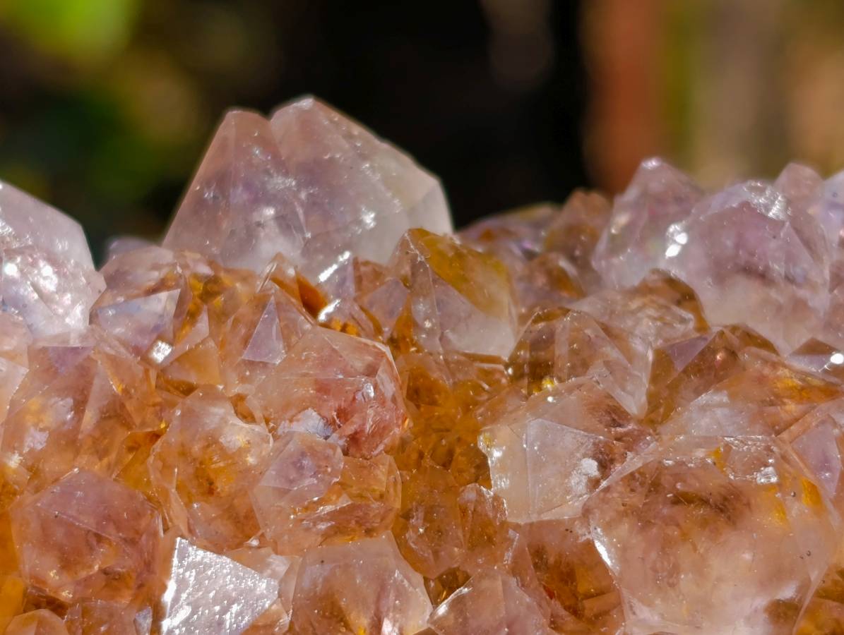 Natural Ametrine Spirit Quartz Clusters x 2 From South Africa - Toprock Gemstones and Minerals 